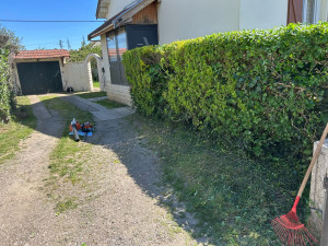 Photo de galerie - Taille de haie et débroussaillage 