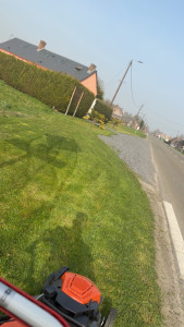 Photo de galerie - Entretient espace vert 