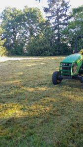 Photo de galerie - Tonte de pelouse - Débroussaillage