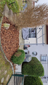 Photo de galerie - Paysagiste - Aménagement du jardin