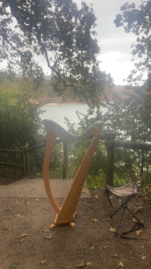 Photo de galerie - Je donnes des cours de musique et j’anime des événements. 