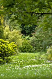 Photo de galerie - Jardin de style anglais