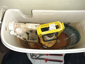 Photo de galerie - Réparation mécanisme wc +flotteur wc