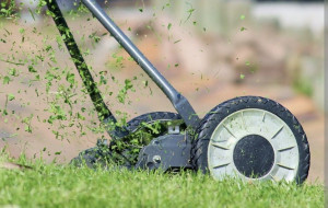 Photo de galerie - Entretien des espaces verts 