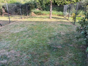 Photo de galerie - Merci Nathalie pour votre confiance.