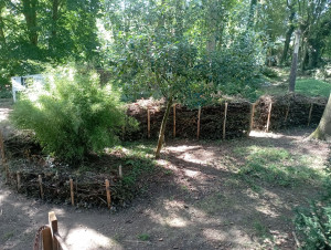 Photo de galerie - Haie sèche