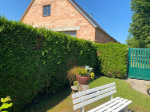 Photo de galerie - Avant la taille