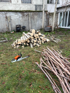 Photo de galerie - Elagage et coupe d'arbres