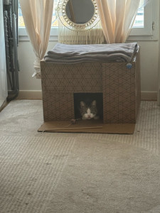 Photo de galerie - Garde animaux