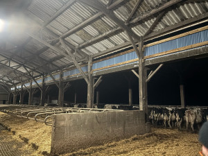 Photo de galerie - Charpente