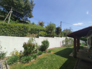 Photo de galerie - Clôture et massif plante