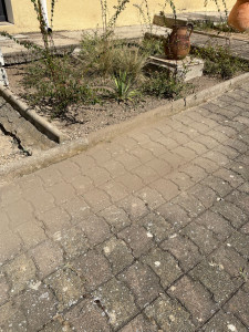 Photo de galerie - Jardinage 