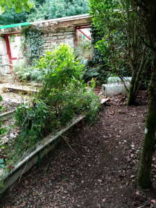 Photo de galerie - Tonte de pelouse - Débroussaillage