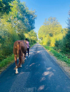Photo de galerie - Garde animaux