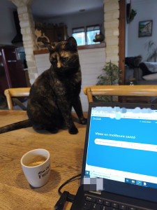 Photo de galerie - Aide administrative 