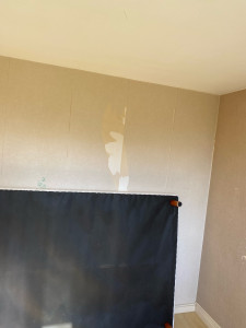 Photo de galerie - Peinture - Tapisserie