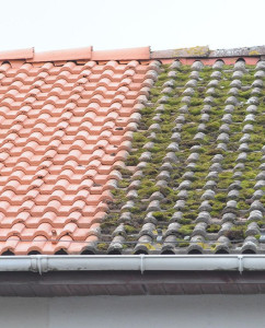 Photo de galerie - Nettoyage et démoussage de toiture