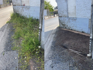 Photo de galerie - Désherbage prix : 17€/h 