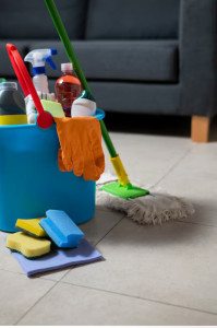 Photo de galerie - Nettoyage du salon : sol aspiré et lavé, tapis nettoyé et espace remis au propre.