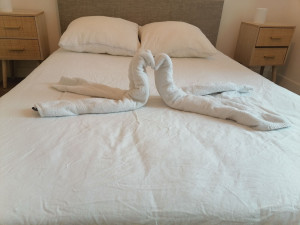 Photo de galerie - Nettoyage d'hotel 
