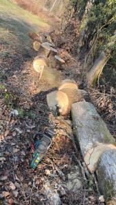 Photo de galerie - Coupe en 50 cm 