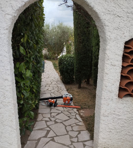 Photo de galerie - Taille de haie et entretien des extérieurs