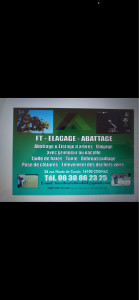 Photo de galerie - Elagage et coupe d'arbres