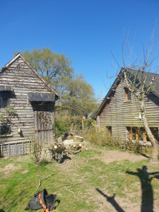 Photo de galerie - Abattage démontage 