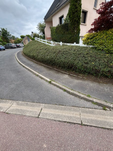 Photo de galerie - Taille d’un talus de cotoneaster