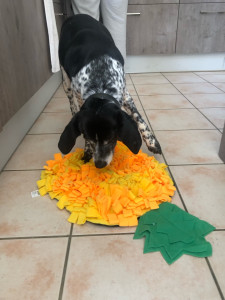 Photo de galerie - Activité mise en place avec tapis de fouille 