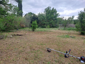 Photo de galerie - Debroussaillage avant après 