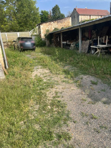 Photo de galerie - Tonte de pelouse - Débroussaillage