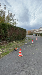 Photo de galerie - P