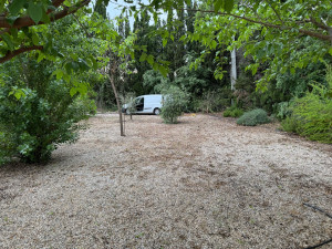 Photo de galerie - Après désherbage 