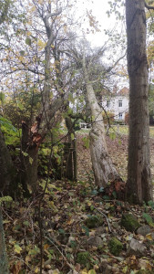 Photo de galerie - Avant 