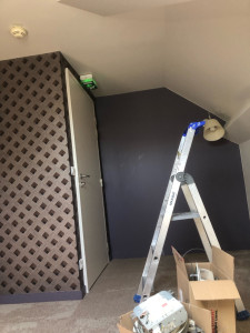 Photo de galerie - Peinture FH