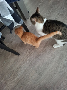 Photo de galerie - Félix et bonbon