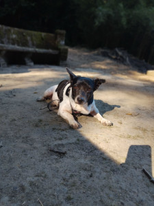 Photo de galerie - Garde de la petite Tina adorable et qui s'est très bien adaptée. 
