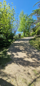 Photo de galerie - Élagage  débroussaillage 