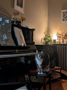 Photo de galerie - ? 