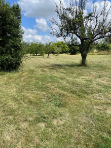 Photo de galerie - Après