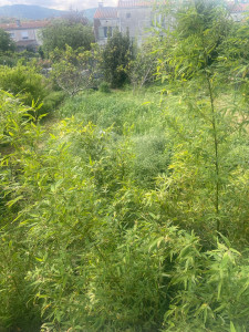 Photo de galerie - Avent 