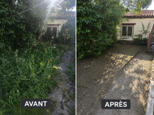 Photo de galerie - Débroussaillage