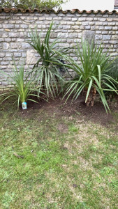 Photo de galerie - Après 