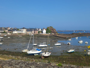 Photo de galerie - Ménage