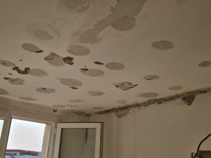Photo de galerie - Plâtrerie - Murs - Plafonds