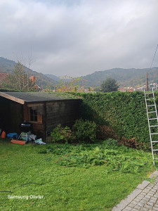 Photo de galerie - Taille de haie 
