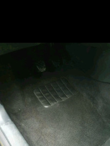 Photo de galerie - Moquette après nettoyage 