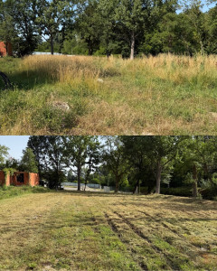 Photo de galerie - Tonte de pelouse - Débroussaillage
