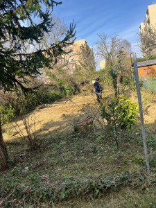 Photo de galerie - Réalisation chez une cliente d’un débroussaillage d’un jardin en friche